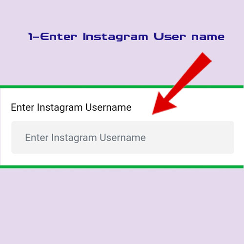 Instagram-Benutzernamen eingeben
