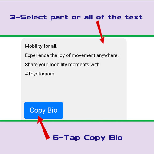 Copy Link