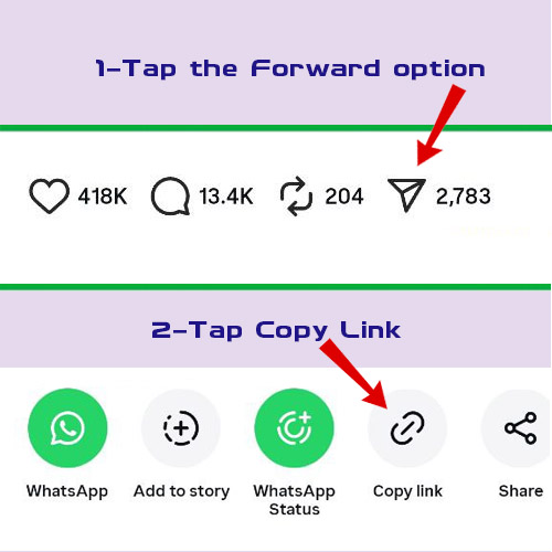 Copy Link