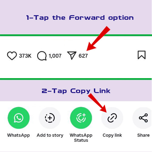 Copy Link