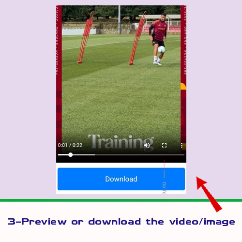 Copy Link